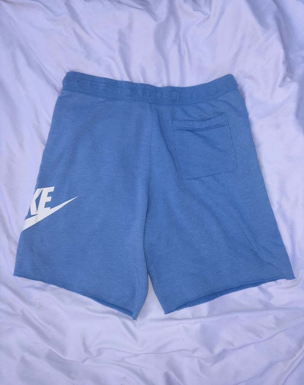 Nike Sportswear Alumni French Terry Shorts Blue AR2375-462